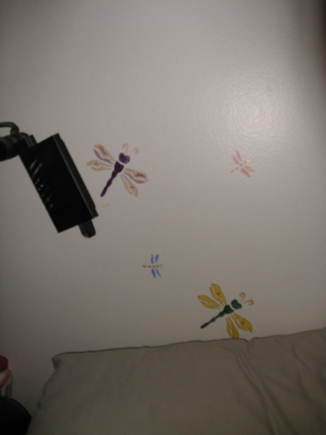 Technicolour dragon flies watching me sleep